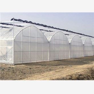 Plastik plyonkali issiqxona