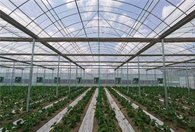 Qishloq xo'jaligi urug'chiligi / Sabzavotlar / Gullar / Mevalar uchun tashqi soyali bardoshli ikki qatlamli plyonkali ko'p oraliqli issiqxona